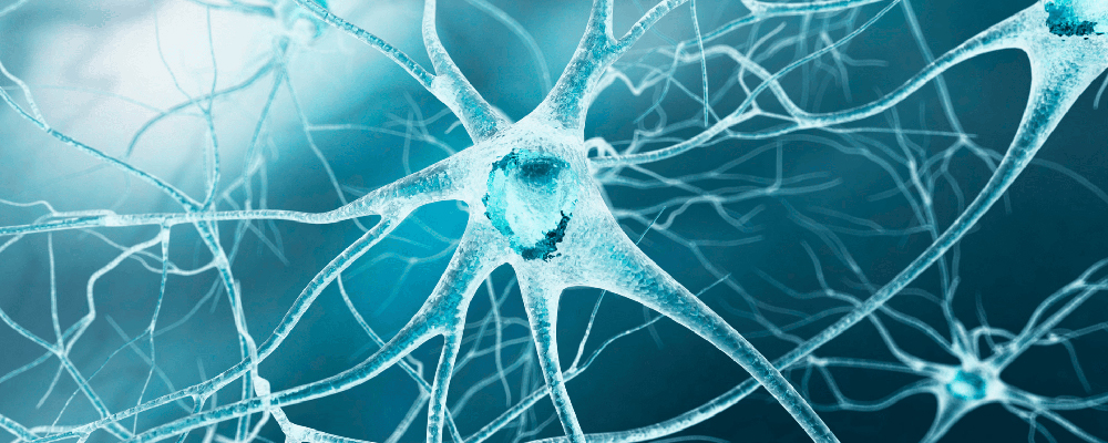 Spine Doctors in Hyderabad